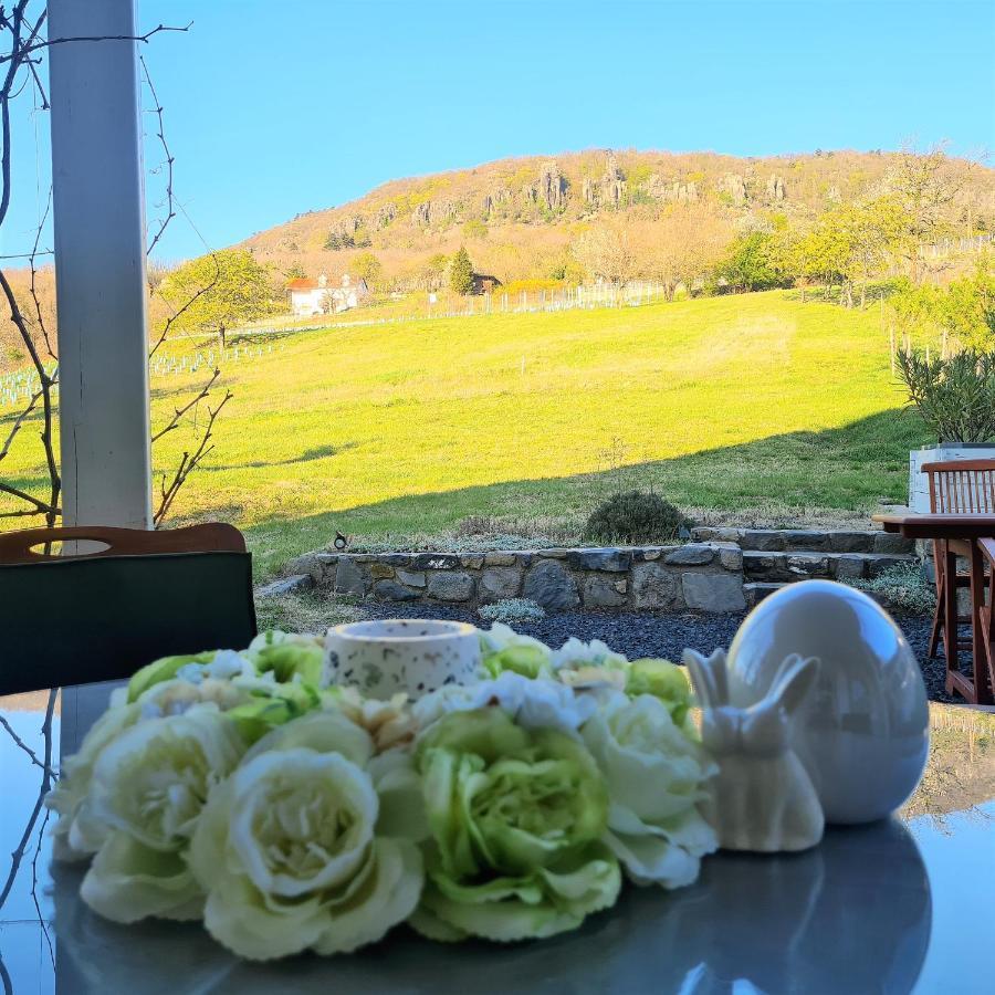 Villa Izabella Badacsonytordemic Luaran gambar